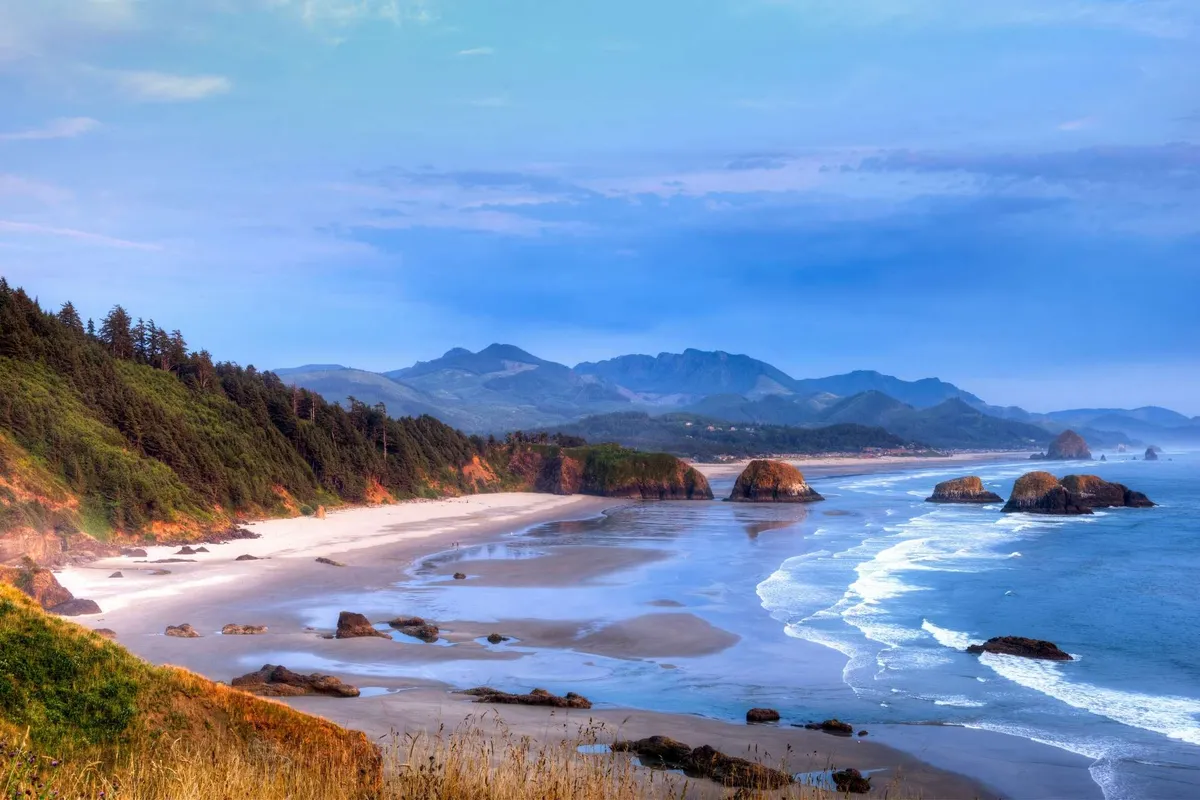 A sweeping view of the coastline, featuring ocean waves, dramatic rock formations, distant mountains, sandy beach, and bordering trees. The natural beauty is tranquil and inviting, embodying the serene coastal setting described in the section.